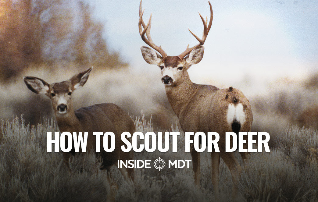 How to Scout for Deer - Inside MDT